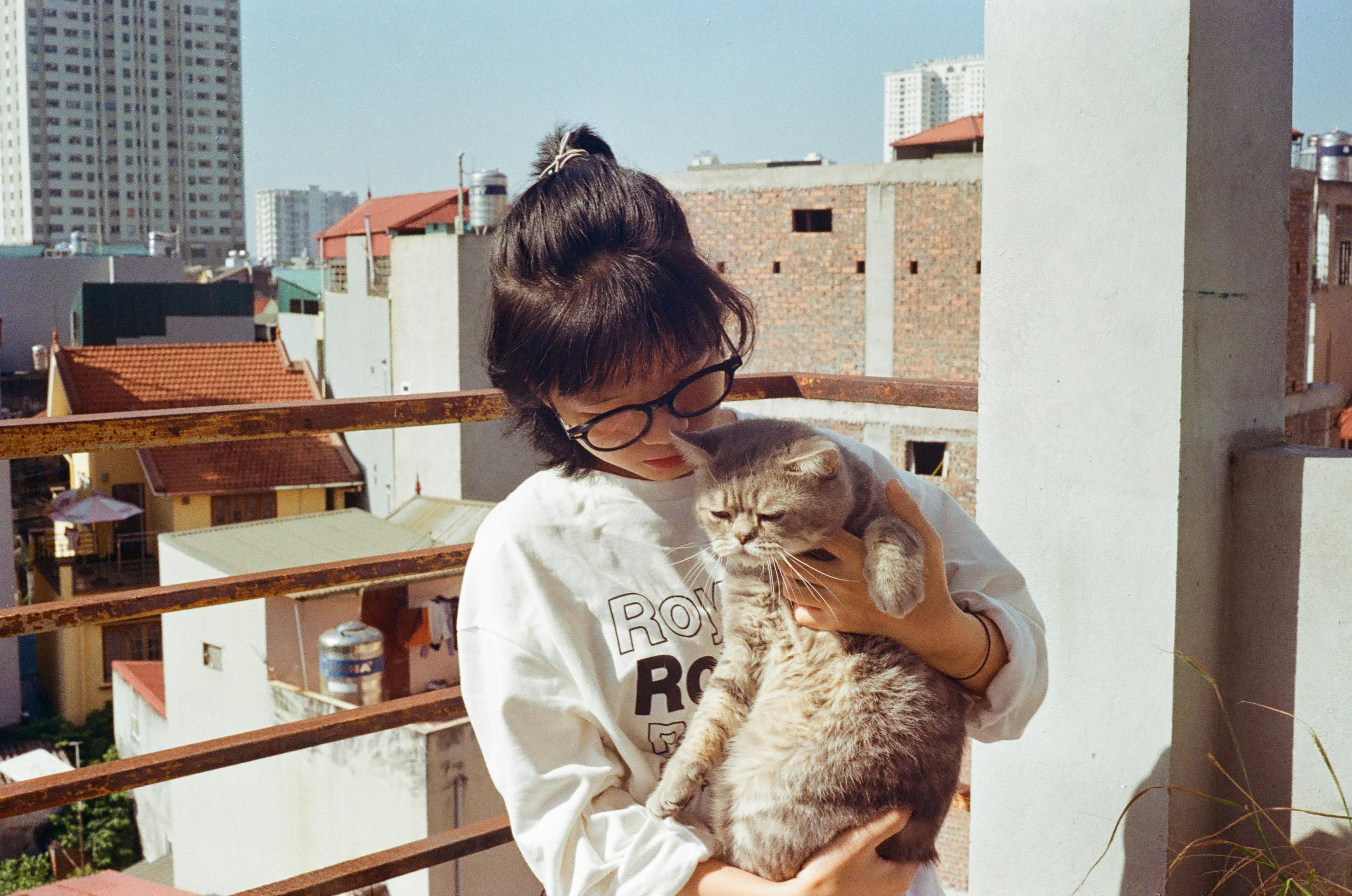 Zdjęcie do artykułu: Koty i dzieci – jak zapewnić bezpieczeństwo obu stronom